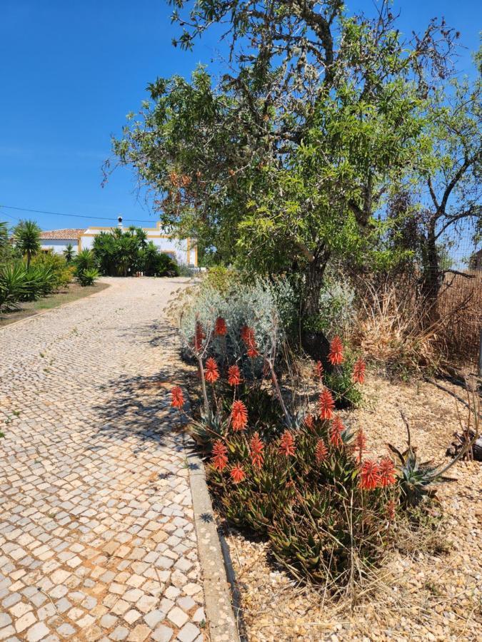Quinta Das Amendoas Carvoeiro  Bagian luar foto